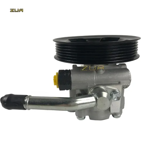 44310-60400 and 44310-60390 Steering Pump for Toyota Land Cruiser 100 and Lexus LX470