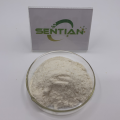 Premium Flaxseed Protein Powder from Natural Plant Extracts