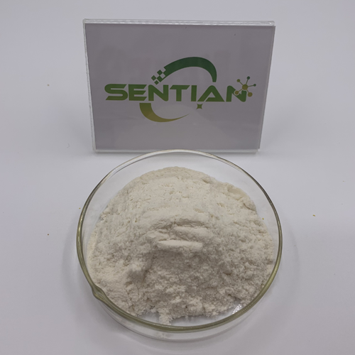 Premium Flaxseed Protein Powder from Natural Plant Extracts
