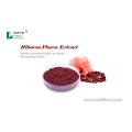 Hibiscus Flower Extract Powder