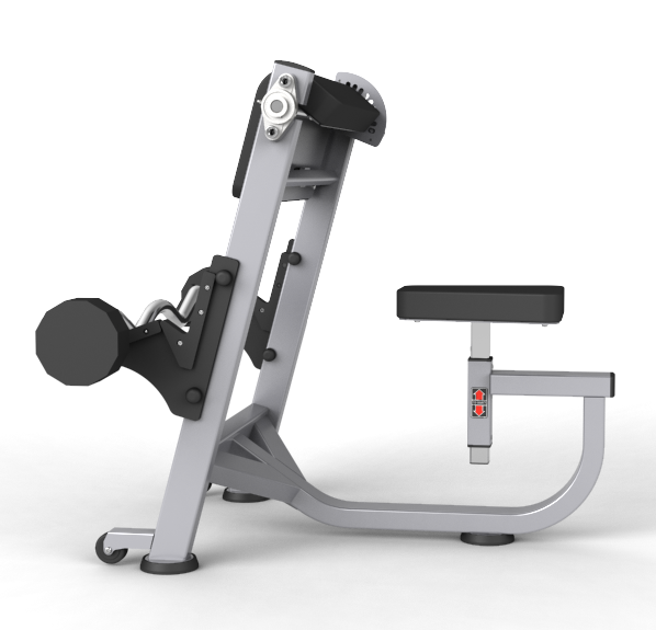Preacher Curl Bench Press