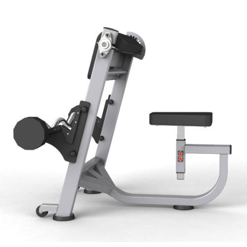 Preacher Curl Bench Press