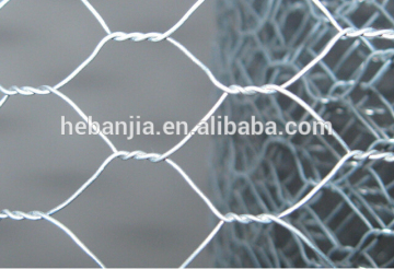 ANJIA hexagonal chicken iron wire mesh(ISO9001 factory)