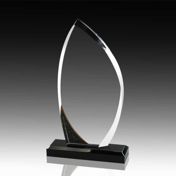 Troféus populares do Clear Acrylic Awards