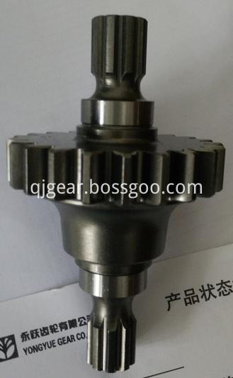 Steel Pump Gear