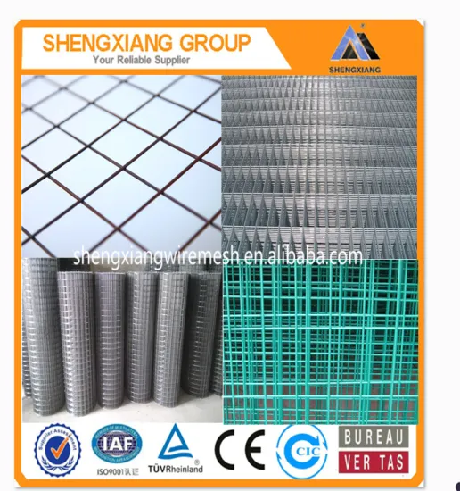 Galvanized Welded Wire Mesh Cheap (factory)