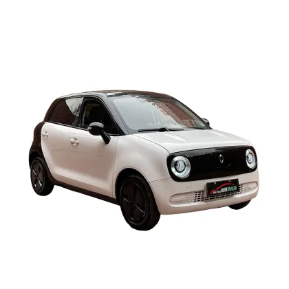 ORA Black Cat 301 Edition All-electric vehicle