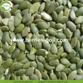 /msite/products/detail/productid/53948768/id/540550.html