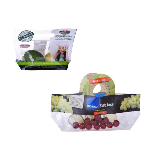 With handle and Tear Notch Sustainable Frozen Food Packaging