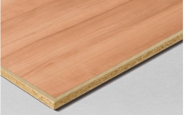 Fire Plate Model 2
