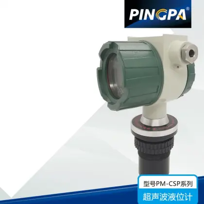 Integrated ultrasonic level gauge sensor