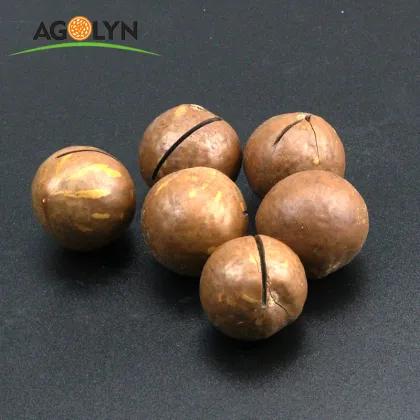 Yunnan Original and Cream Flavor Roasted Macadamia nuts