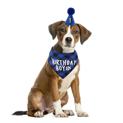 PiCiPaw Pet Birthday Party Supplies: Decorations for Dogs and Cats