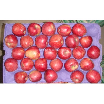 manzana roja estrella buen gusto