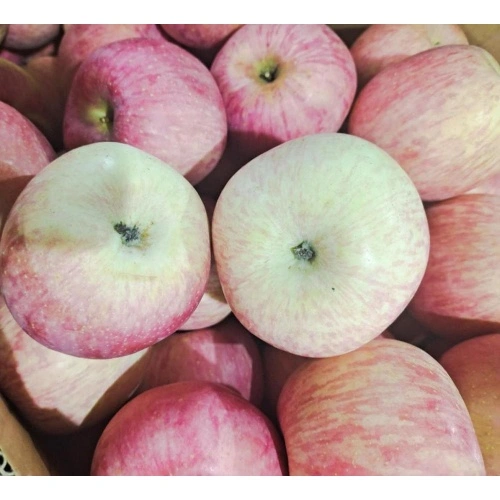 National Fresh Fuji Apple -- 8 per pack