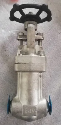 F321 Forged Gate Valve