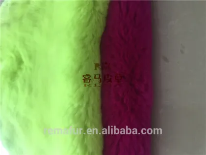 hot selling rex rabbit