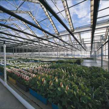 Polycarbonate Roofing Sheet Pricing and Custom Cutting