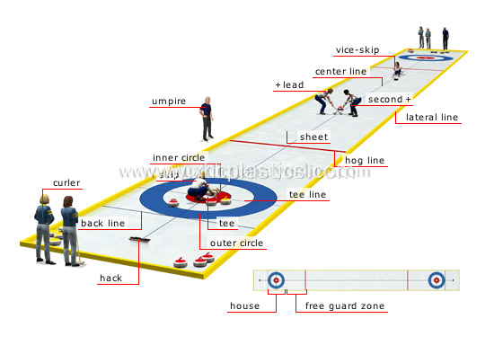 Synthetic ICE Curling Panel