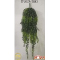 29"Pea leaf hanging bush