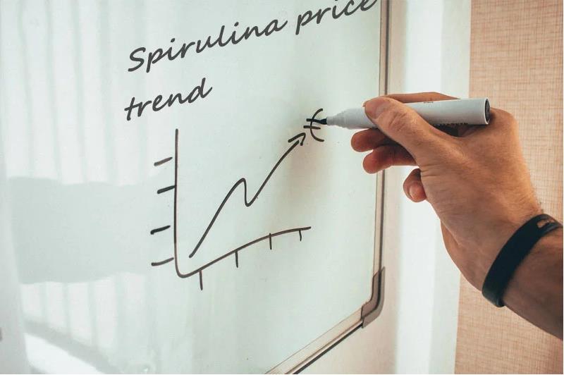 Spirulina powder and spirulina tablets on the market are facing the pressure of being out of stock