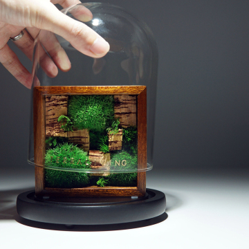Every Love Wholesale The Colony Mini Botanical Sculpture Collection by TerraLiving Preserved Moss Terrarium