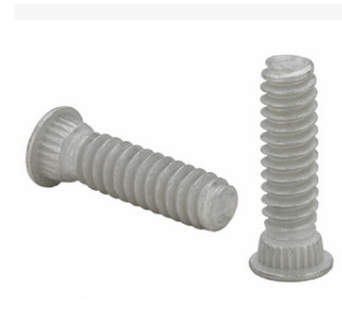 FHS Standard Fastening Riveting Stainless Extrusion Screw