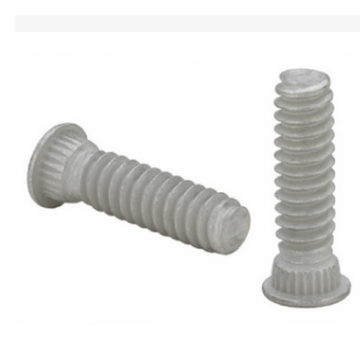 FHS Standard Fastening Riveting Stainless Extrusion Screw