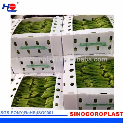 Plastic Okra Box