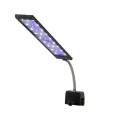 Aquarium -LED -Clip an Licht