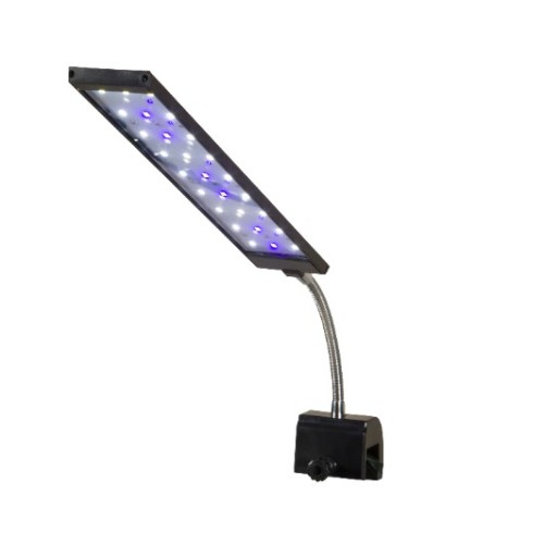 Aquarium -LED -Clip an Licht