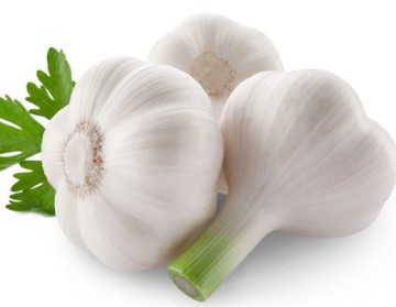 2014 Pure White Garlic