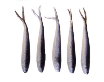 Berkley 6.4cm 1.5g Soft Plastic Fishing Lure with 3D Eyes for Saltwater