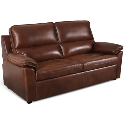 Recliner sofa bed with leather