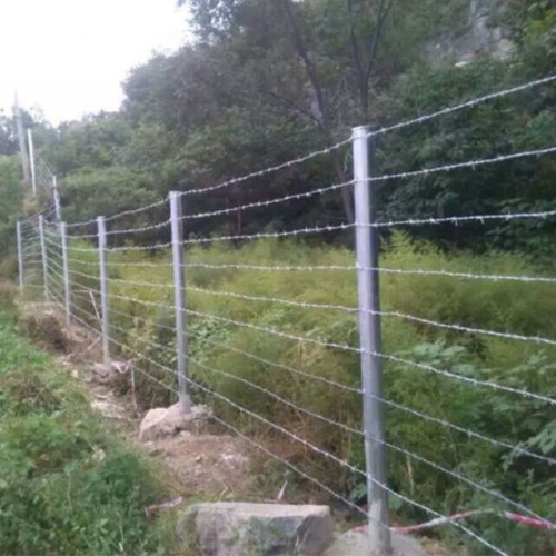 Cheap metal barb wire fence for sale philippines