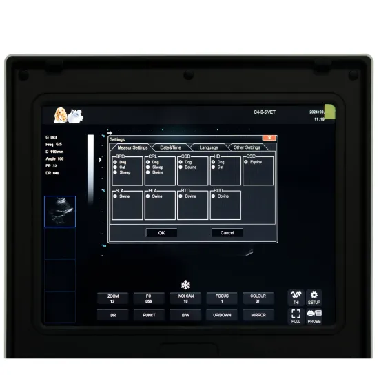 Laptop ultrasound equipment for dog kidney diseases