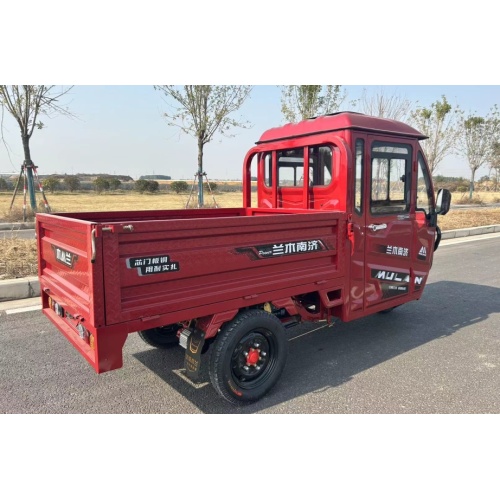 High Quality Low Price Electric Tuk Tuk