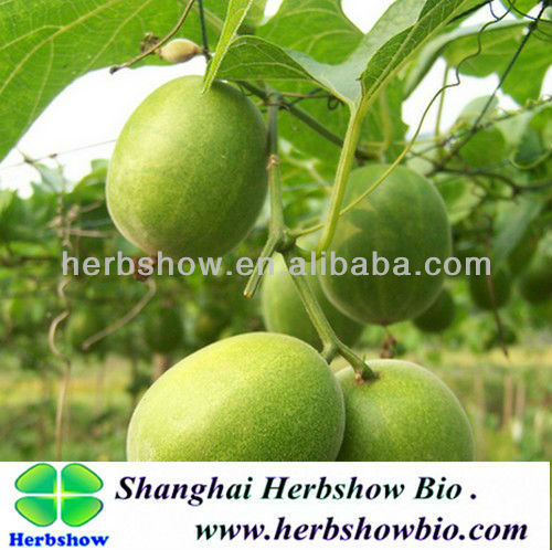 High Quality Fructus Momordicae Seeds for Planting