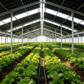 Invernadero agrícola fotovoltaico para cultivo interior