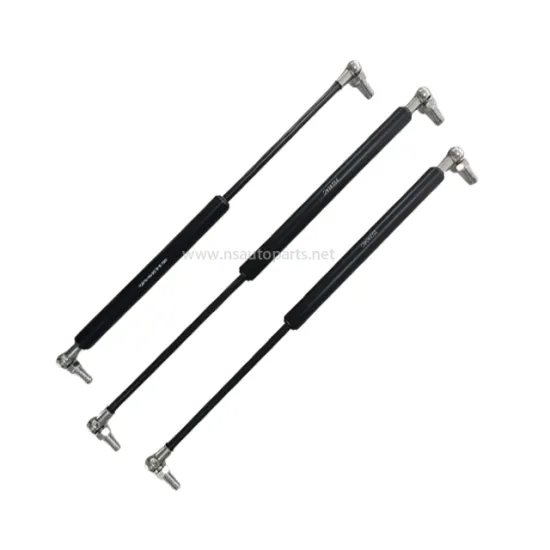 Easy Installation Auto Parts: Spring Gas Struts for Trunk and Garage Door Support