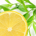 Preço de fábrica óleo essencial de óleo de verbena de limão natural
