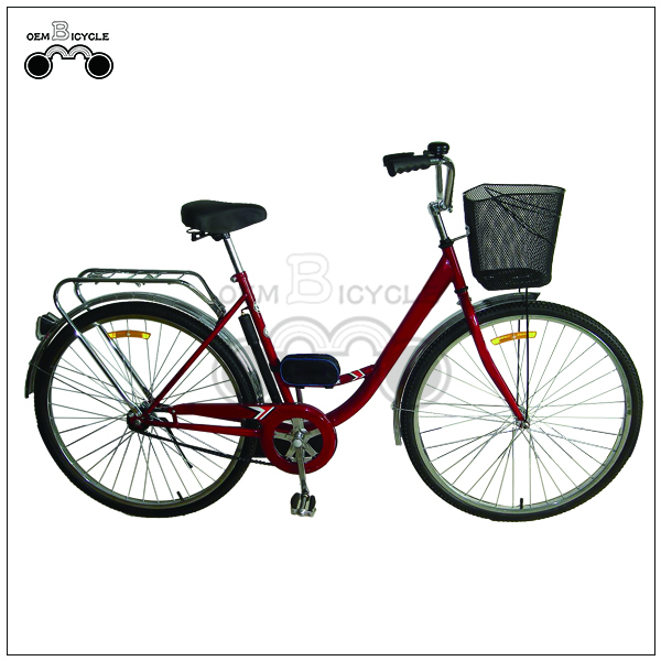 city bike4