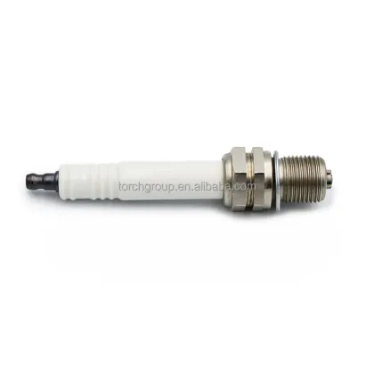Hot Selling Torch Industrial R1B12-76 Spark Plug - Champion RB76N RB76PP