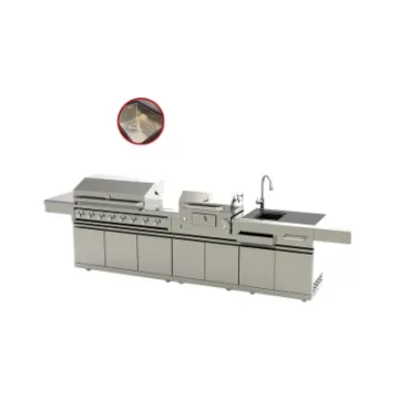Modern 2021 BBQ Gas Grill Built in Charcoal BBQ Grill with Sink for Home