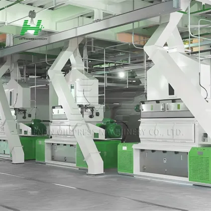 Peanut Oil Production Line: Cooking Oil Production Equipment for Peanut Food Oil