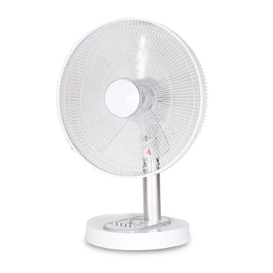 OEM Brand 16 Inch 5 Blade Mute Table Fan