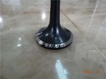 OEM Quality Marine Engine Valve Parts B&W L23/30H
