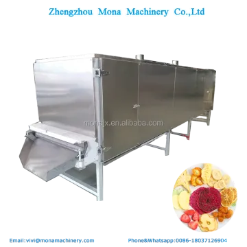 Spice Drying Machines & Vegetable Conveyors: Dehydrating Solutions for Fruits & Vegetables
