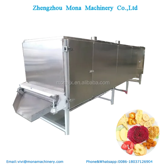 Spice Drying Machines & Vegetable Conveyors: Dehydrating Solutions for Fruits & Vegetables