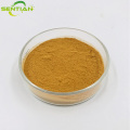 High-Quality Rhubarb Extract